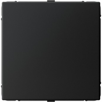 Заглушка SCHNEIDER ELECTRIC ARTGALLERY SE GAL001009 без суппорта для многопостовых рамок, карбон